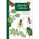 Små dyr i skoven