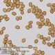 Bresser Researcher Trino mikroskop (40x-1000x)