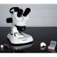Bresser Analyth STR Trino stereolup m/LED (10x-40x)